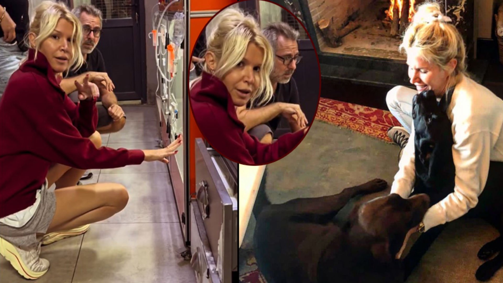 Patili dostlarının tedavisini üstlendi Patili dostlarının tedavisini üstlendi