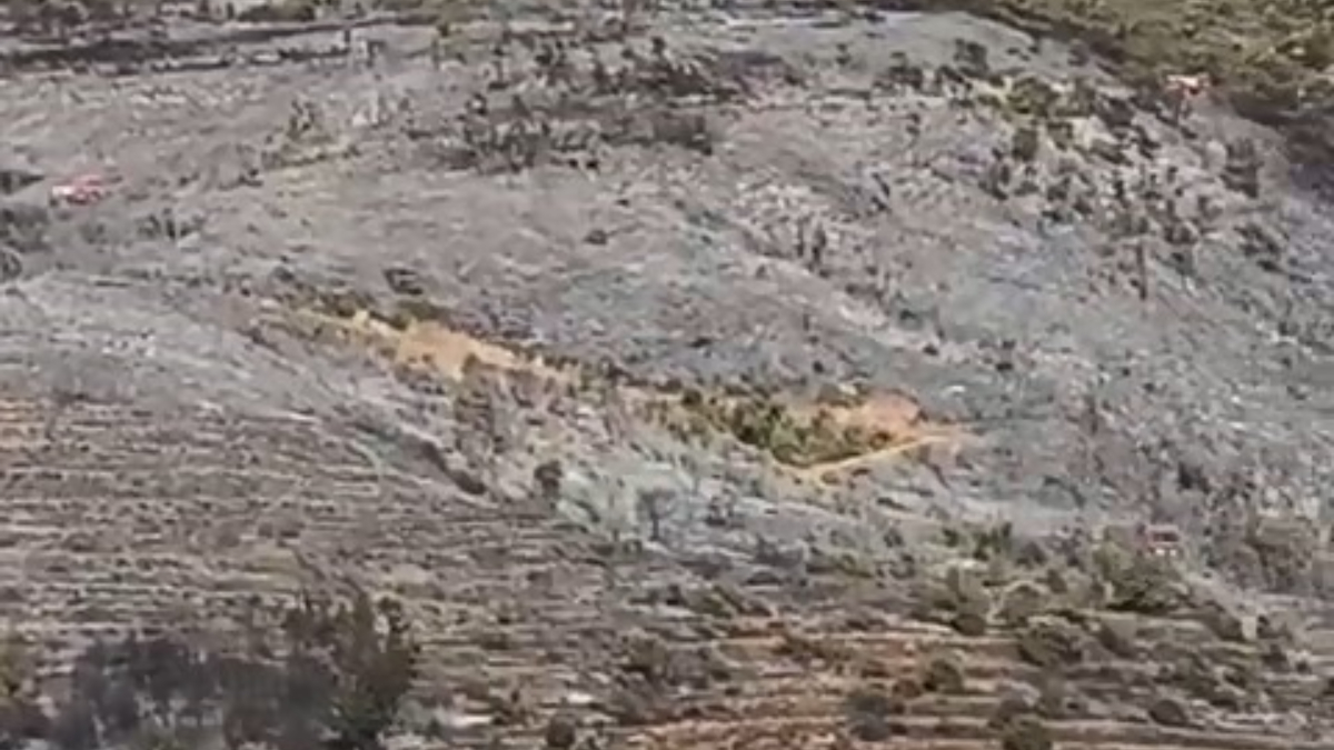 Bursa’daki orman yangını söndürüldü – Güncel Son Dakika Haberleri Bursa’daki orman yangını söndürüldü – Güncel Son Dakika Haberleri