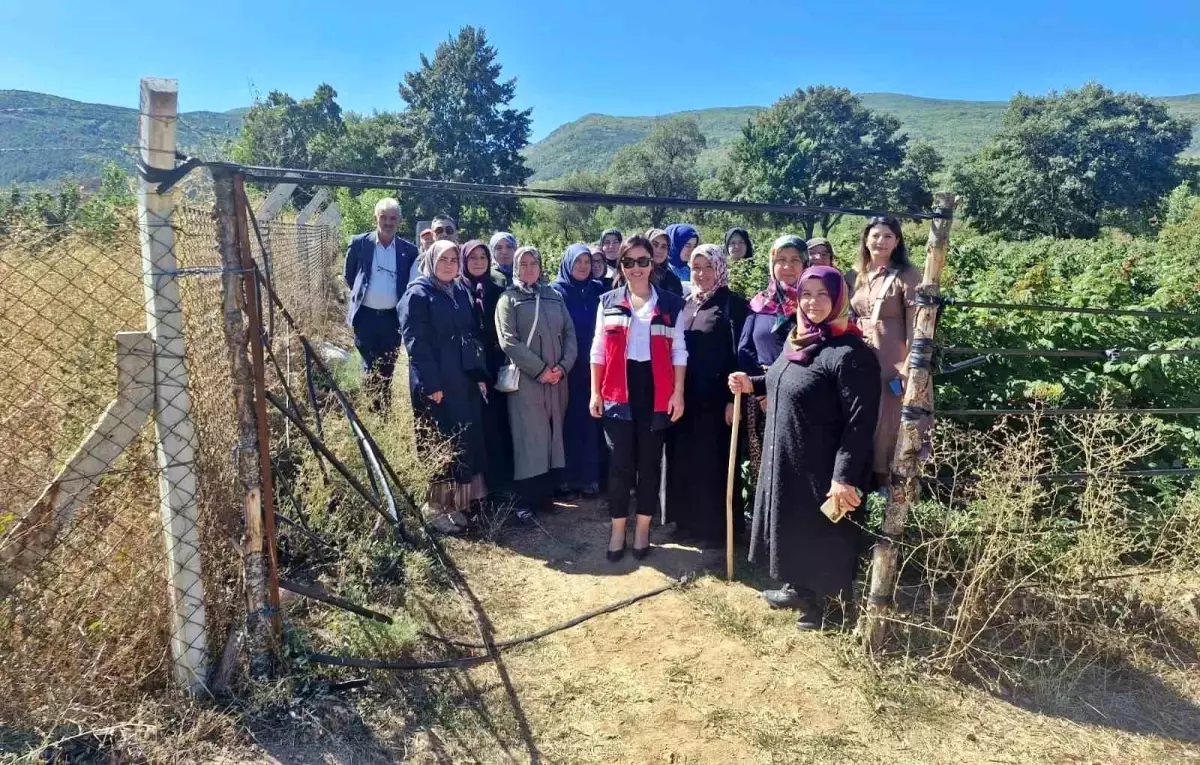 Kadın Çiftçilere Yönelik Teknik Gezi Düzenlendi Kadın Çiftçilere Yönelik Teknik Gezi Düzenlendi