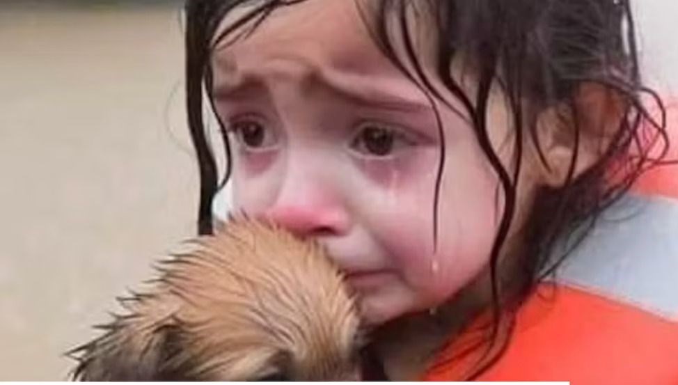 İnterneti dolduran yeni tehlike: “AI slop” nedir? İnterneti dolduran yeni tehlike: “AI slop” nedir?