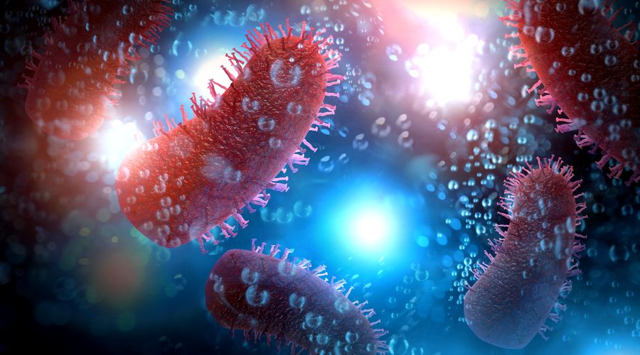 Kuduz: Önlenebilir ama hâlâ ölümcül bir tehdit Kuduz: Önlenebilir ama hâlâ ölümcül bir tehdit