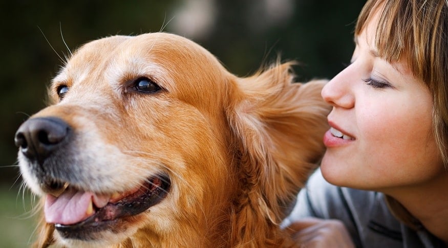 Evcil Hayvanlar İle İlgili Temel Bilgiler Evcil Hayvanlar İle İlgili Temel Bilgiler