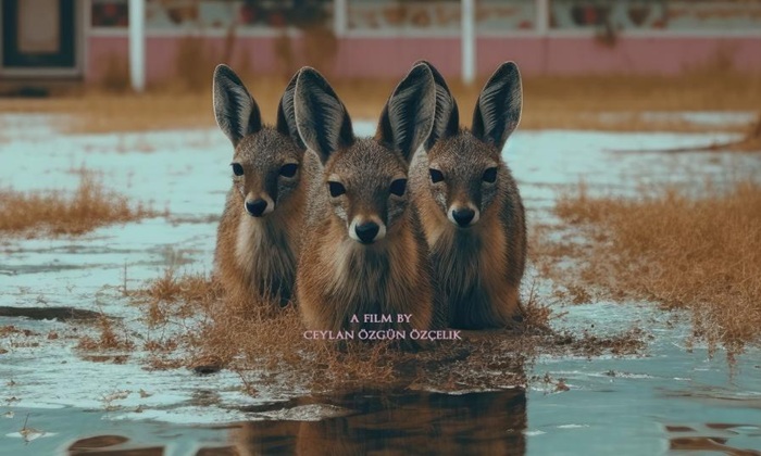 90’ların Gözde Oteli Naturland’ın Gerçek Hikayesi “Hiçbir Şey Normal Değil” Filminde 90’ların Gözde Oteli Naturland’ın Gerçek Hikayesi “Hiçbir Şey Normal Değil” Filminde