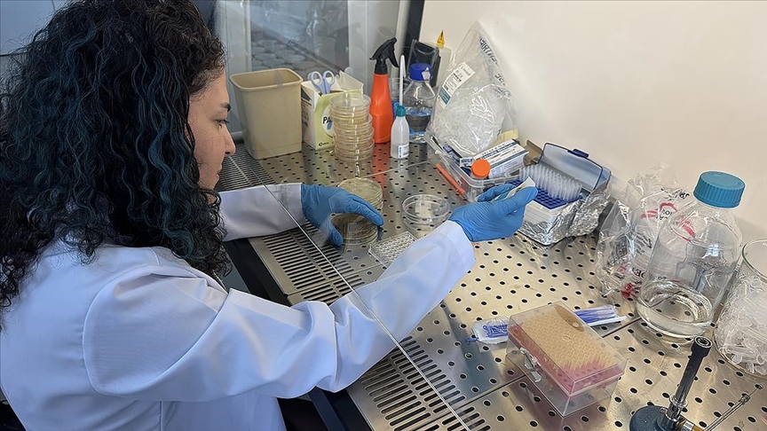 Bor kullanılarak geliştirilecek yara örtüsü diyabetik yaraların daha hızlı iyileşmesini sağlayacak Bor kullanılarak geliştirilecek yara örtüsü diyabetik yaraların daha hızlı iyileşmesini sağlayacak