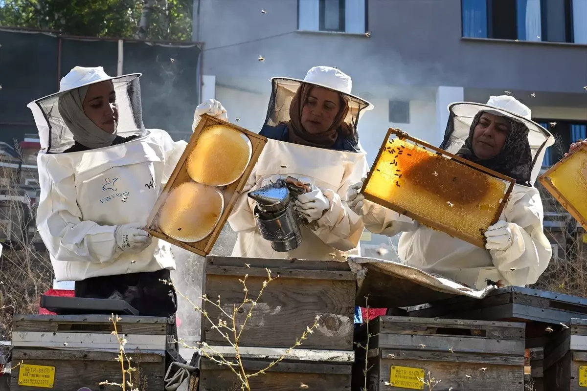 Bahçesaraylı Kadınlar Kara Kovan Balı Üretmeye Başladı Bahçesaraylı Kadınlar Kara Kovan Balı Üretmeye Başladı