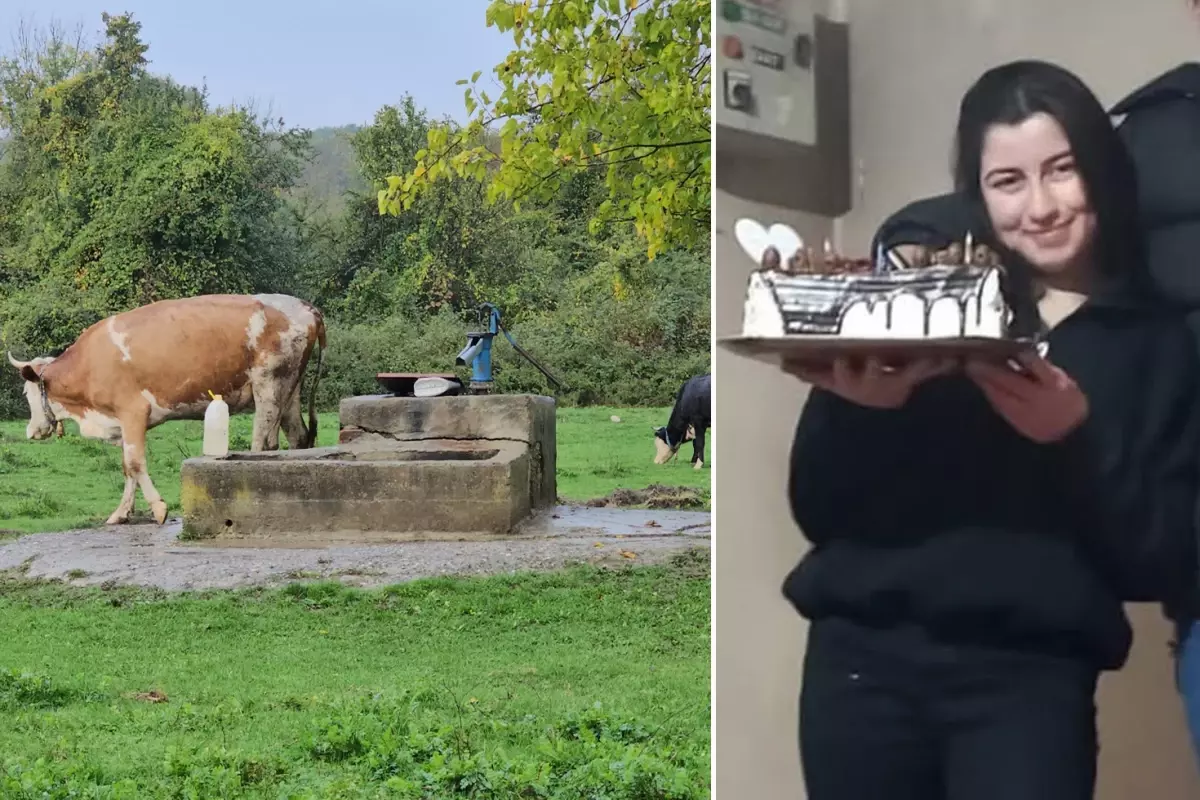 Hasret’in cesedi su kuyusunda bulundu! Şüpheli 5 kişinin katili çıktı Hasret’in cesedi su kuyusunda bulundu! Şüpheli 5 kişinin katili çıktı