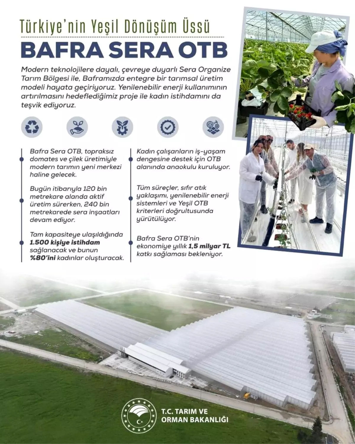 Bafra Sera Organize Tarım Bölgesi Projesi: Kadın İstihdamı ve Ekonomik Katkı Bafra Sera Organize Tarım Bölgesi Projesi: Kadın İstihdamı ve Ekonomik Katkı