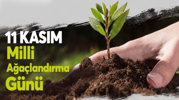 Yeşil Vatan Seferberliği Başladı, Hedef 15 Milyon Fidan Yeşil Vatan Seferberliği Başladı, Hedef 15 Milyon Fidan