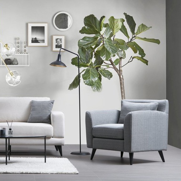 Salon Bitkisi Çeşitleri ve En İyi İç Mekan Bitkileri Salon Bitkisi Çeşitleri ve En İyi İç Mekan Bitkileri