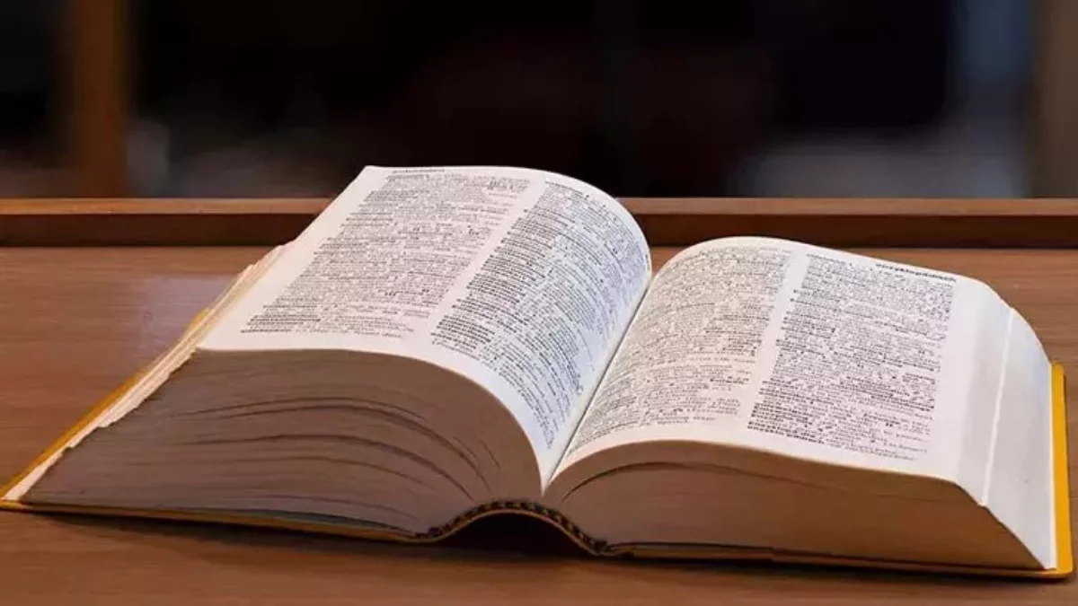 2025’in Kelimesi: Rage Bait (Öfke Yemi) Nedir? 2025’in Kelimesi: Rage Bait (Öfke Yemi) Nedir?