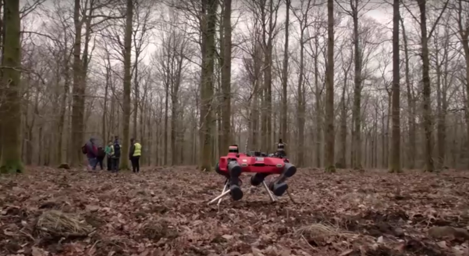 Robot köpek ormanları korumak için göreve başladı Robot köpek ormanları korumak için göreve başladı